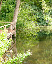 Un lago en la reserva natural CS Lewis de Oxford