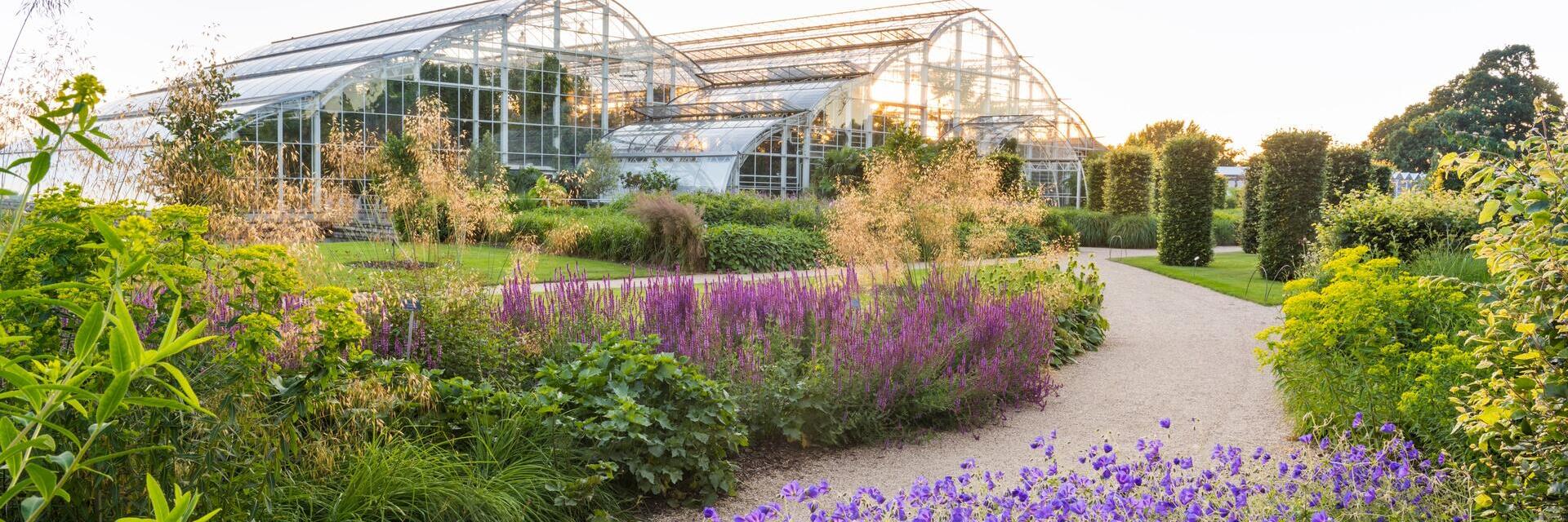 Jardin avec des bordures fleuries et un chemin menant à une serre