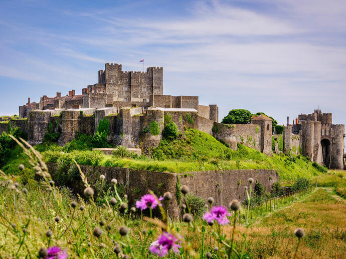 Medieval stone castle with towers atop green hill, surrounded by walls and wildflowers under a blue sky.