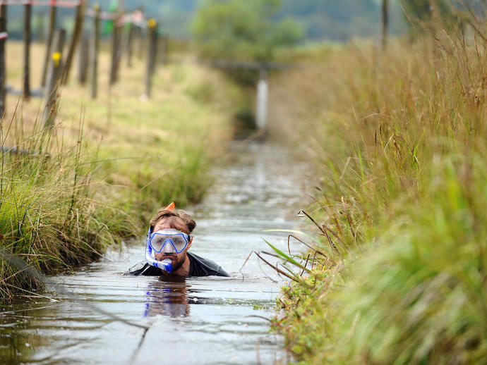 Ein Sumpfschnorchler watet durch einen Kanal