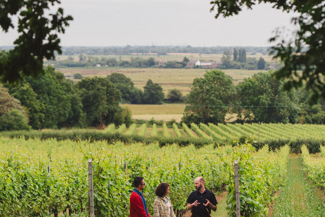 A man and a woman on a tour at a vineyard