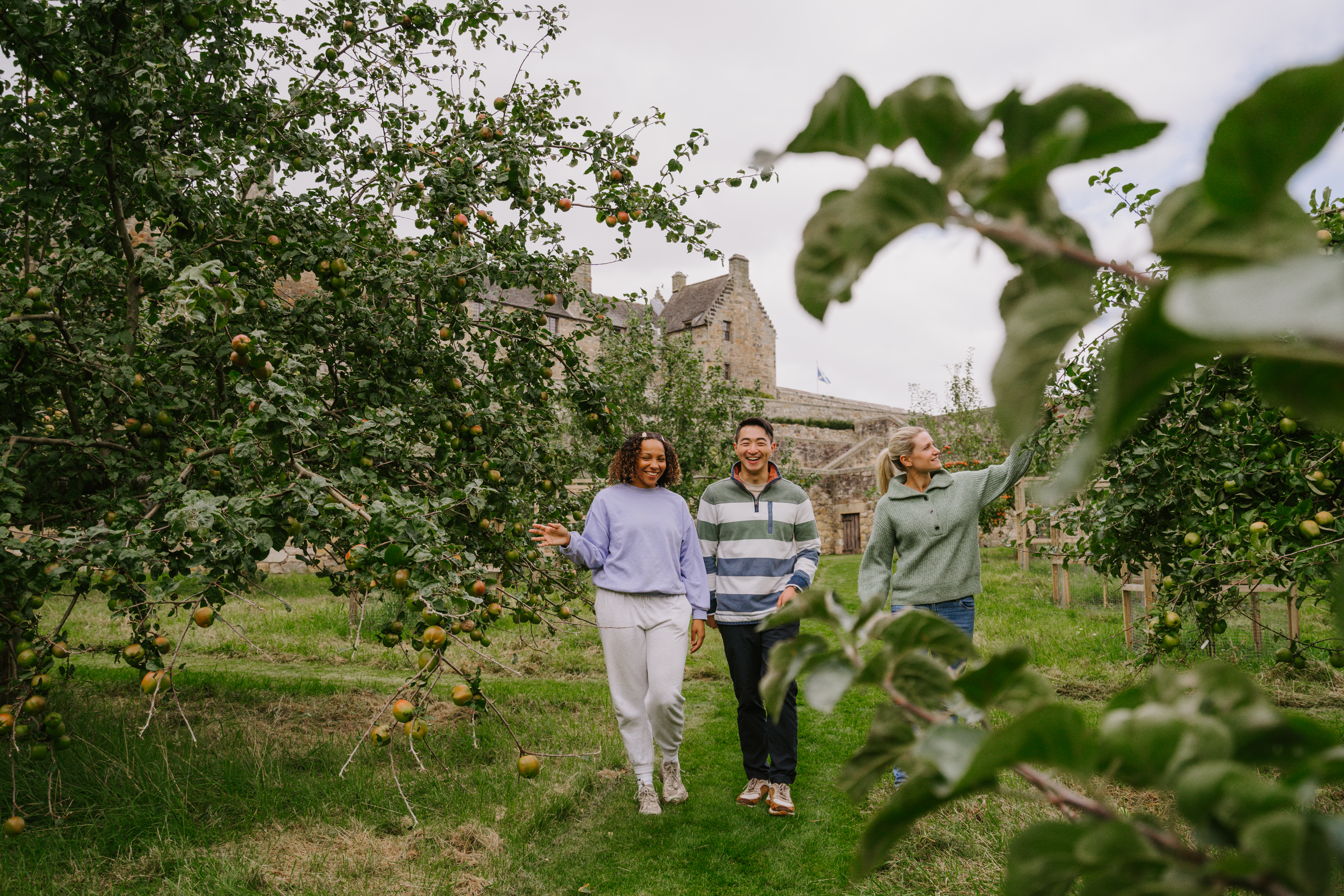 A man and two women walking through an apple orchard on castle grounds.