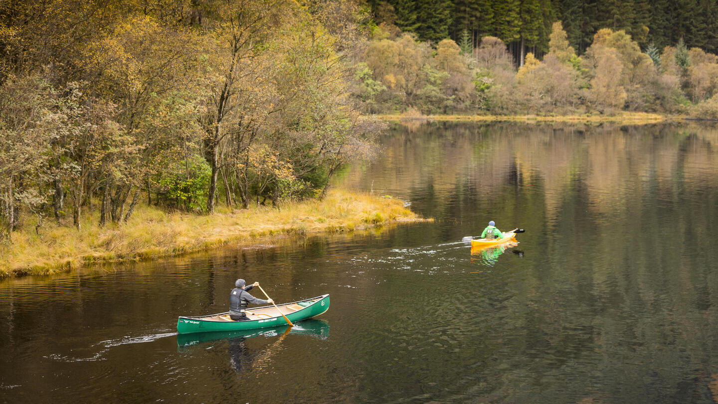 Dos kayakistas en un lago rodeado de árboles