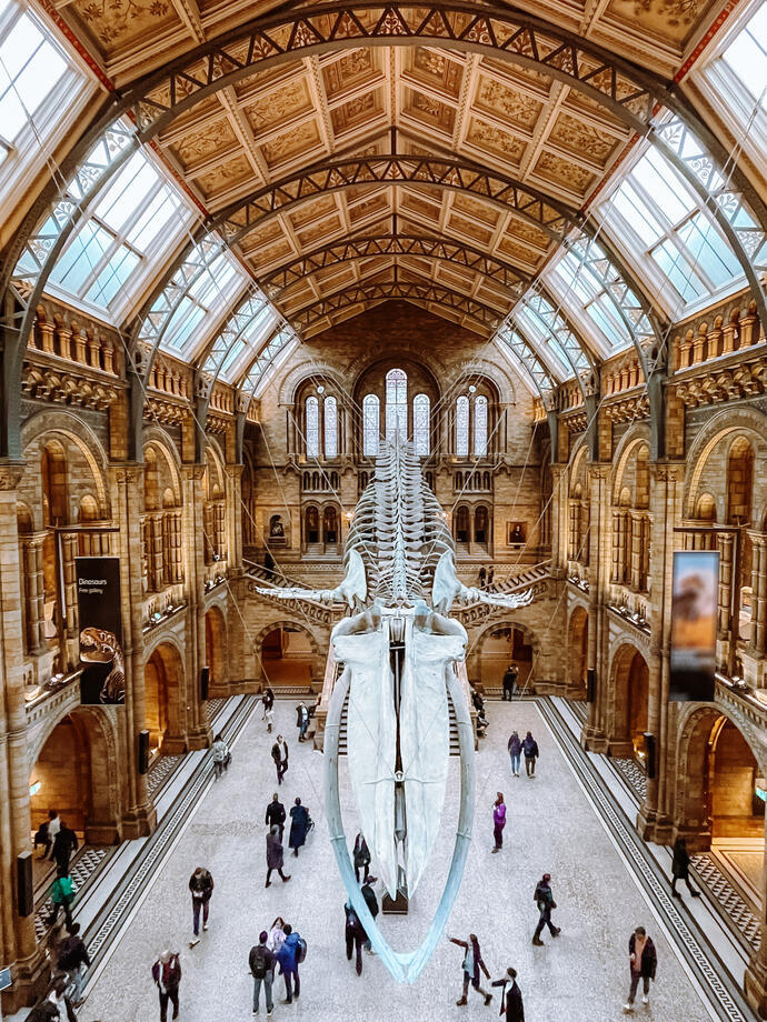 Vue depuis le balcon d'un musée sur un squelette de dinosaure flottant suspendu au plafond.