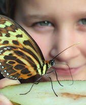Un niño posando con una mariposa en la Granja de Mariposas de Stratford-upon-Avon