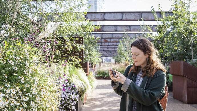 A woman taking a picture of plants and flowers in the gardens of Castlefield Viaduct, Manchester