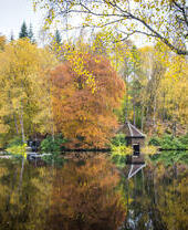 Drehorte von Outlander, Faskally Wood