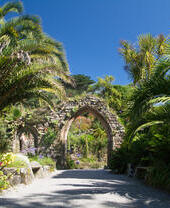 Tresco Abbey Garden, Isles of Scilly