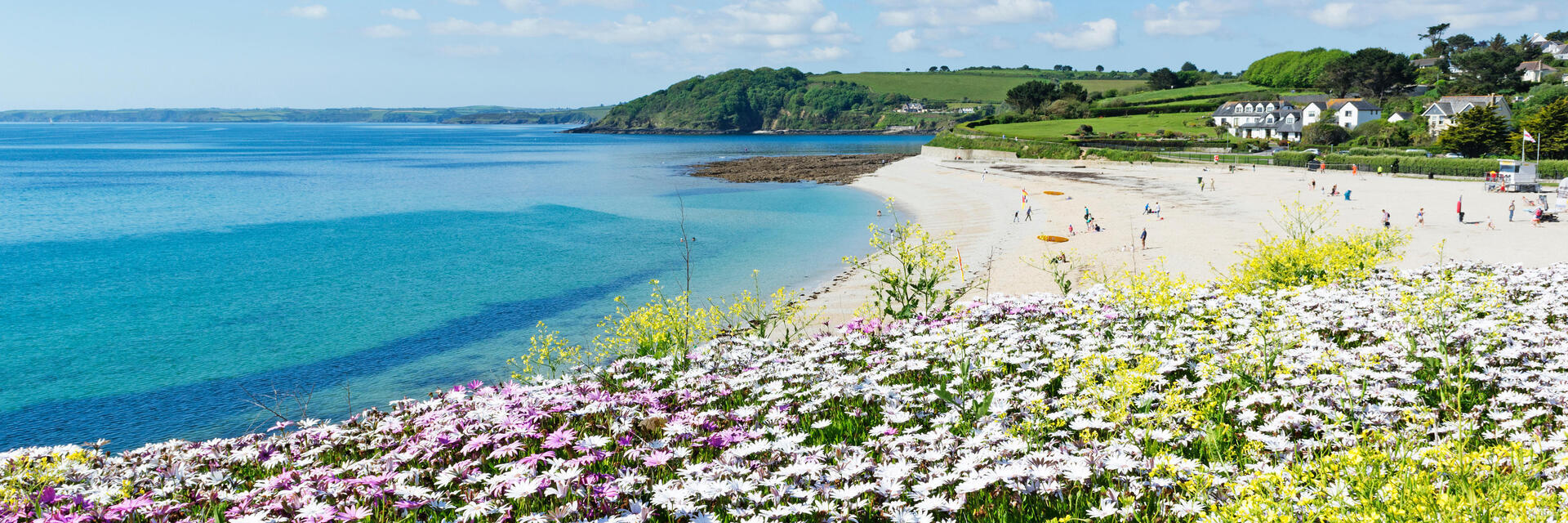 Flower fields leading up to a pretty beach and turquoise sea