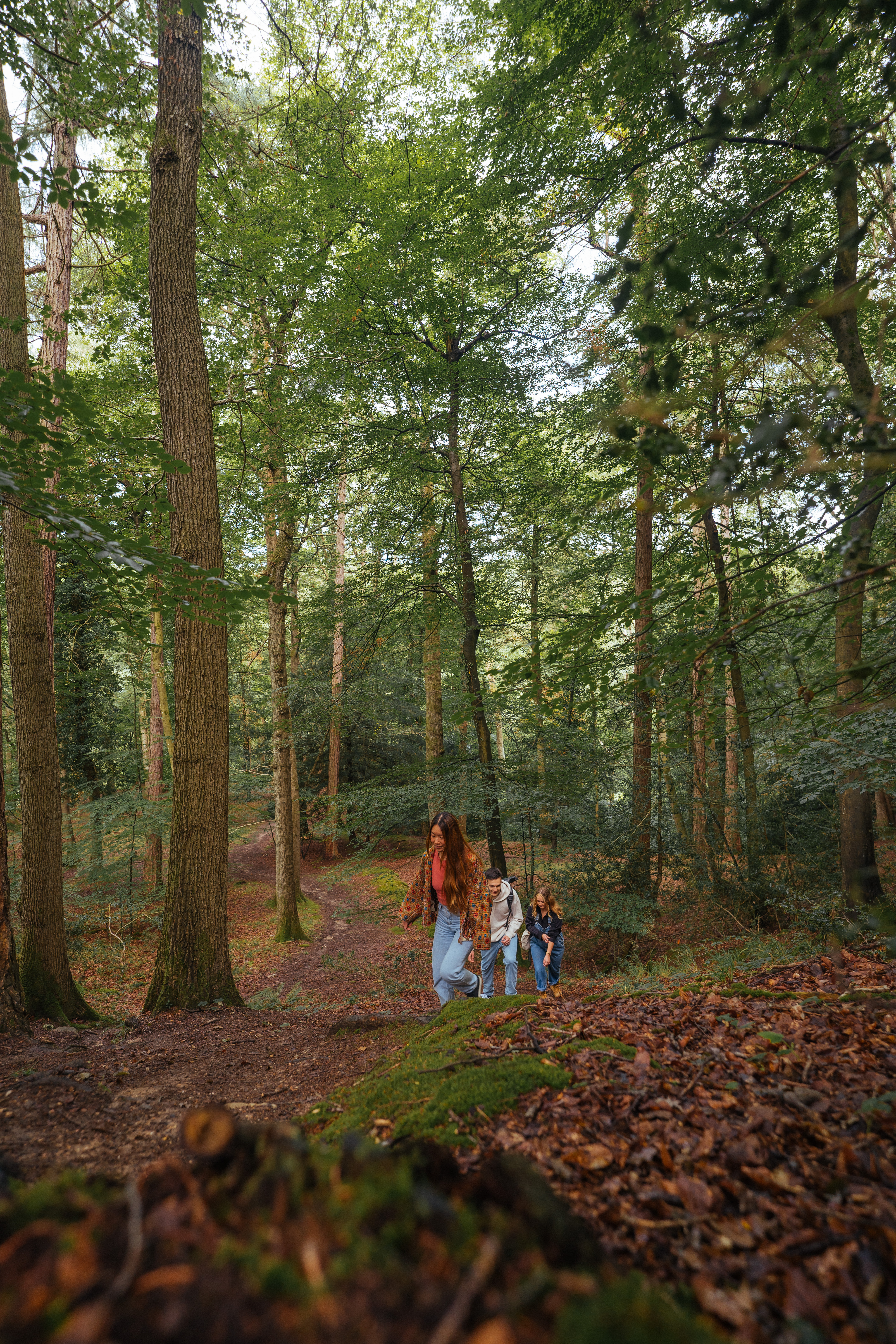 Trois amis marchant sur un sentier forestier.