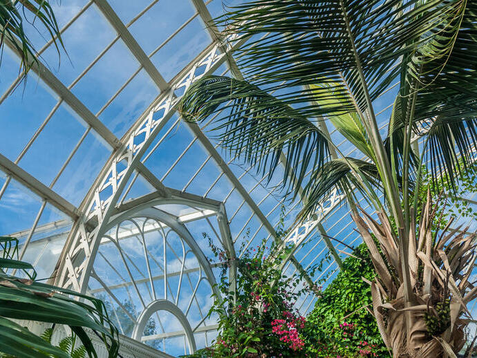 Victorian glass palm house with tropical plants and trees in Sefton Park, Liverpool.