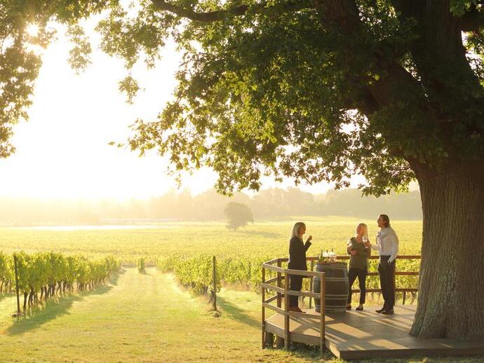 Close up of people standing under tree having a private wine tasting tour