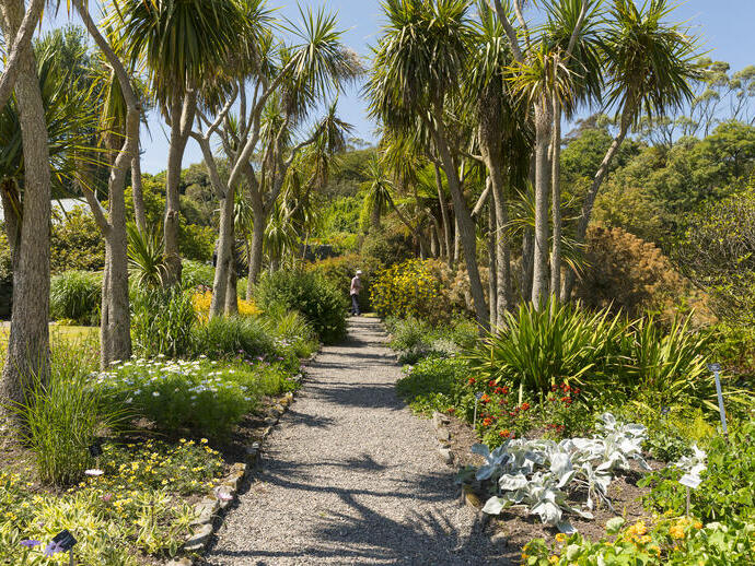 Un sendero a través de un jardín tropical.