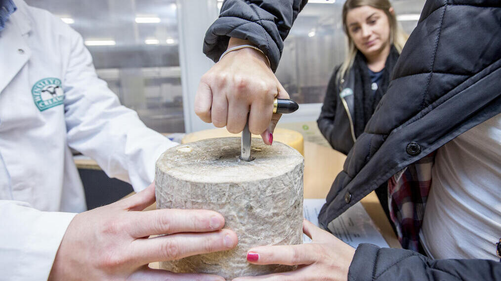Two people holding cheese, Cheese Festival