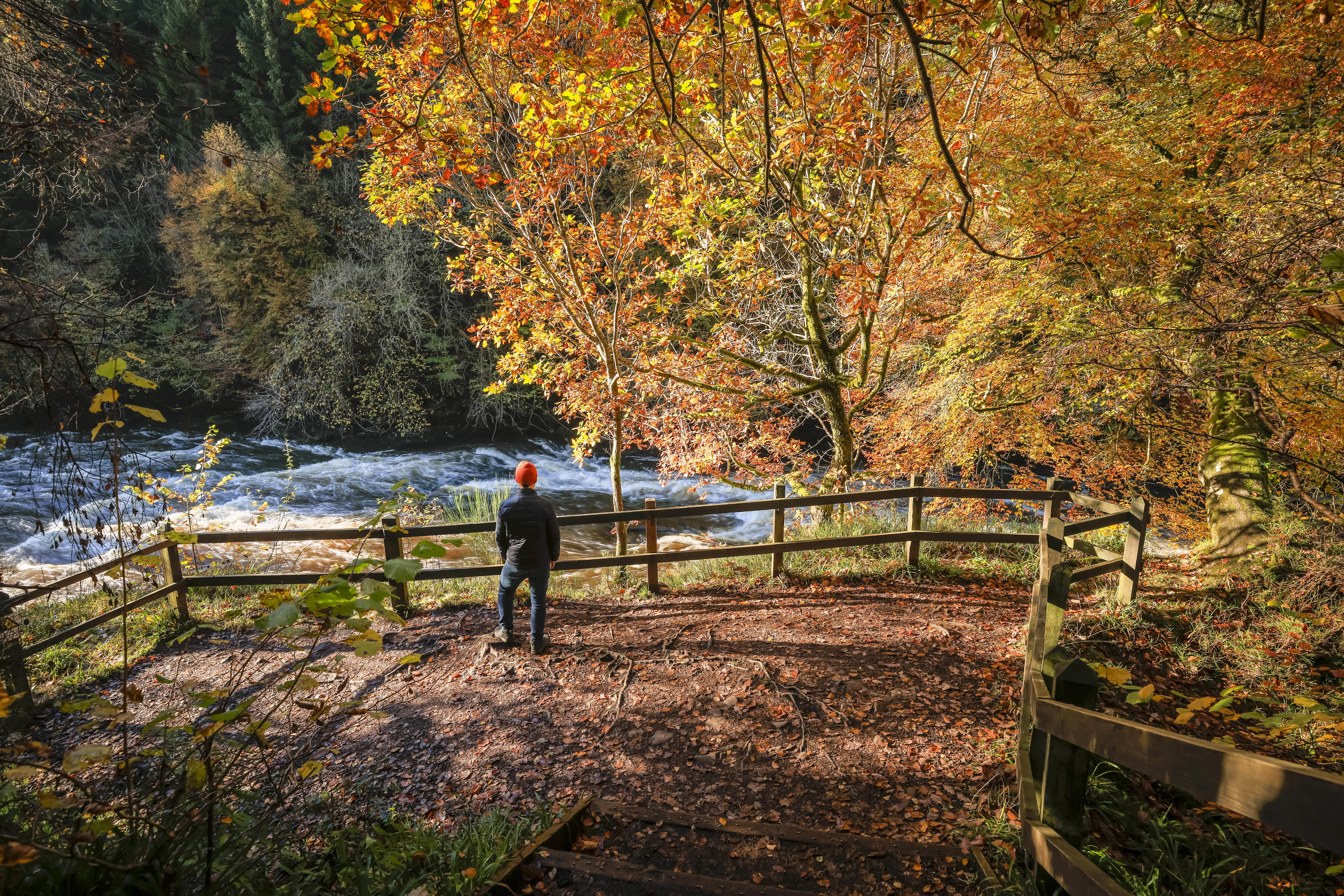 A person exploring a nature reserve on an autumnal day with a river flowing by.