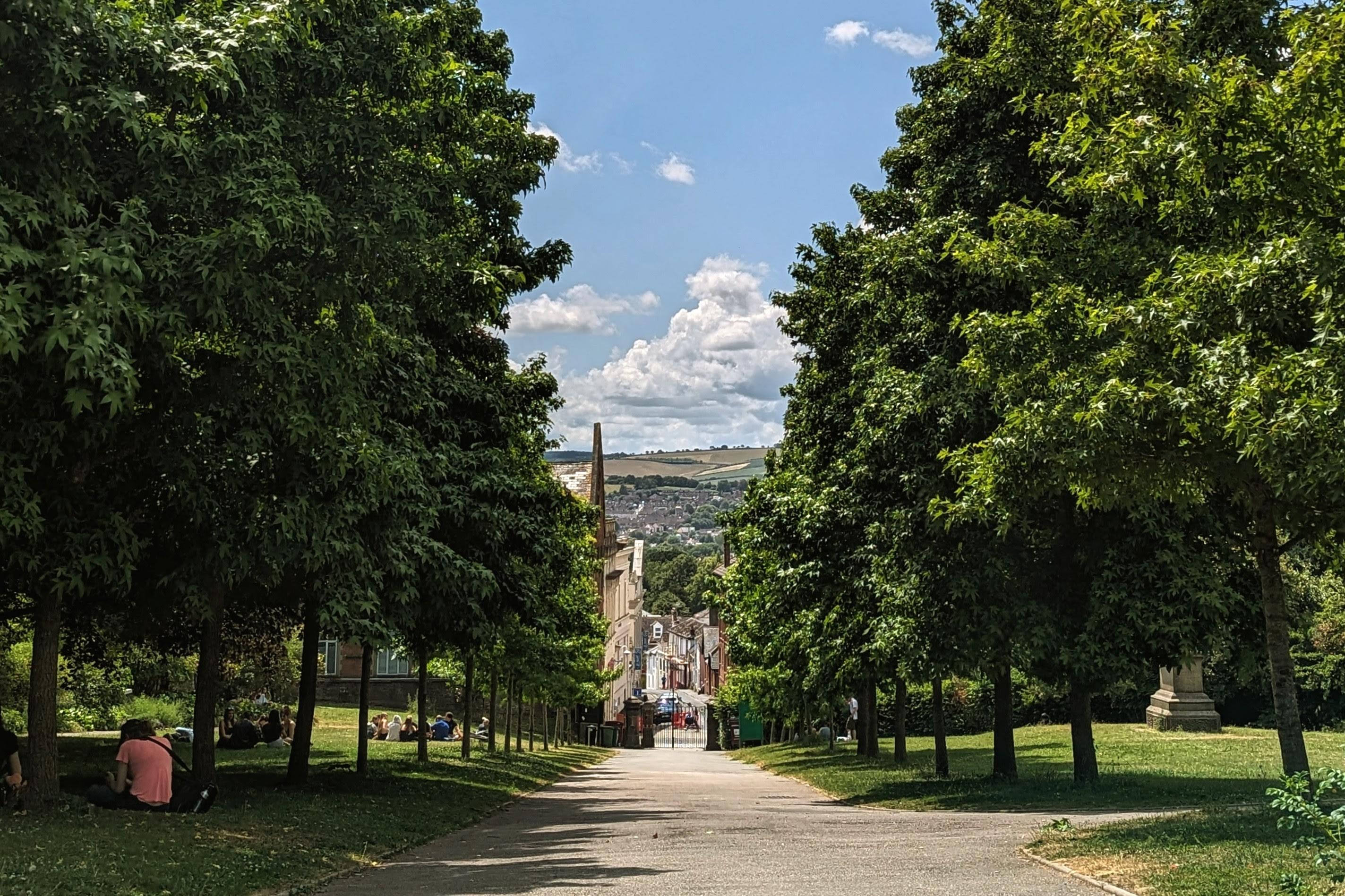 Bäume und Gras säumen einen hügeligen Weg