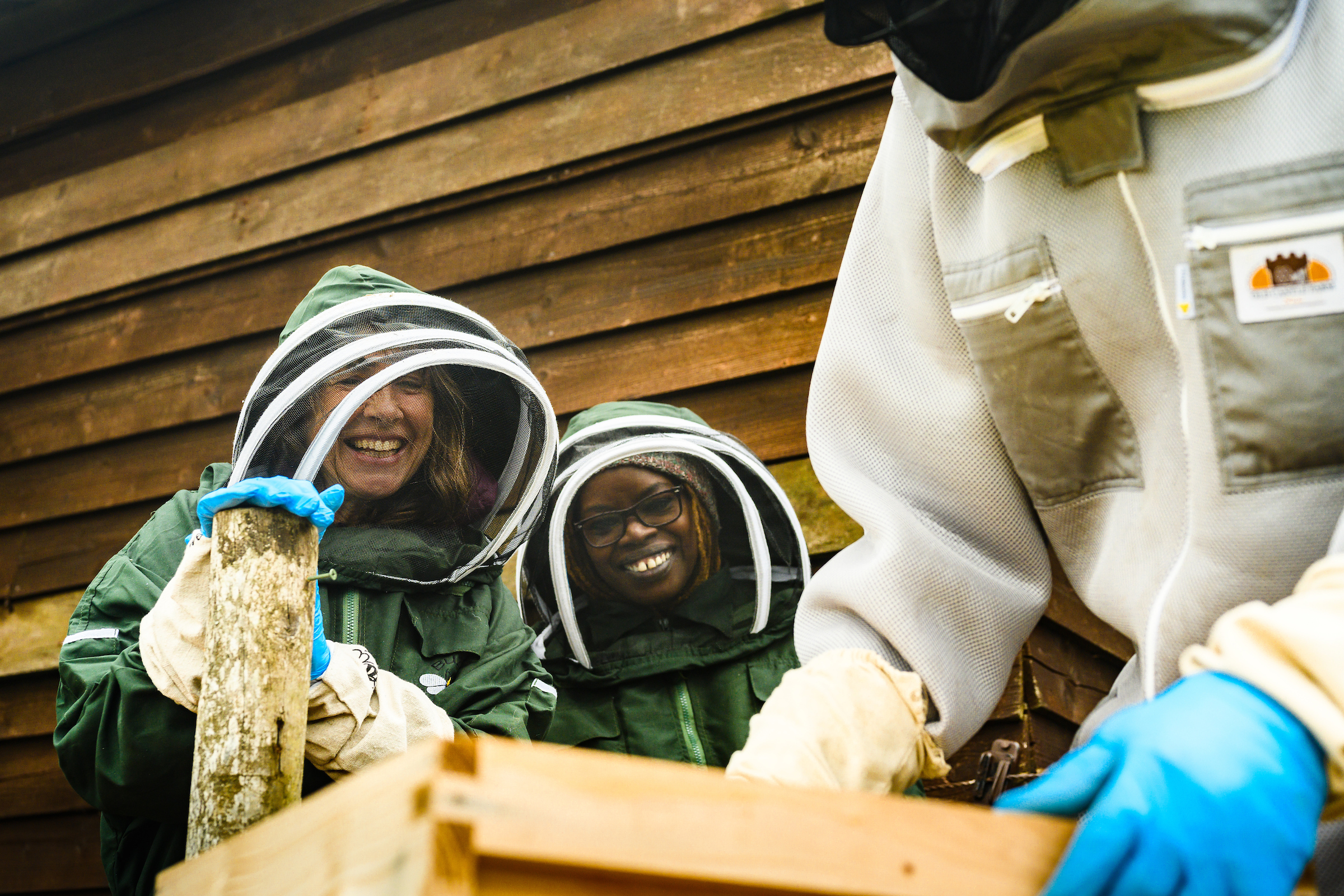 People enjoying a demonstration at Dartmoor Beekeeping