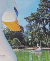 Boating in Cannon Hill Park, Edgbaston, Birmingham, West Midlands
