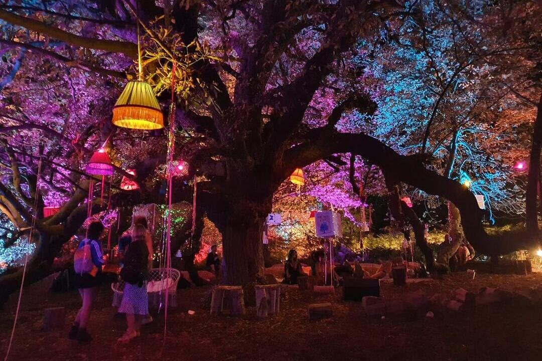 People standing under tree at night lit up by lanterns