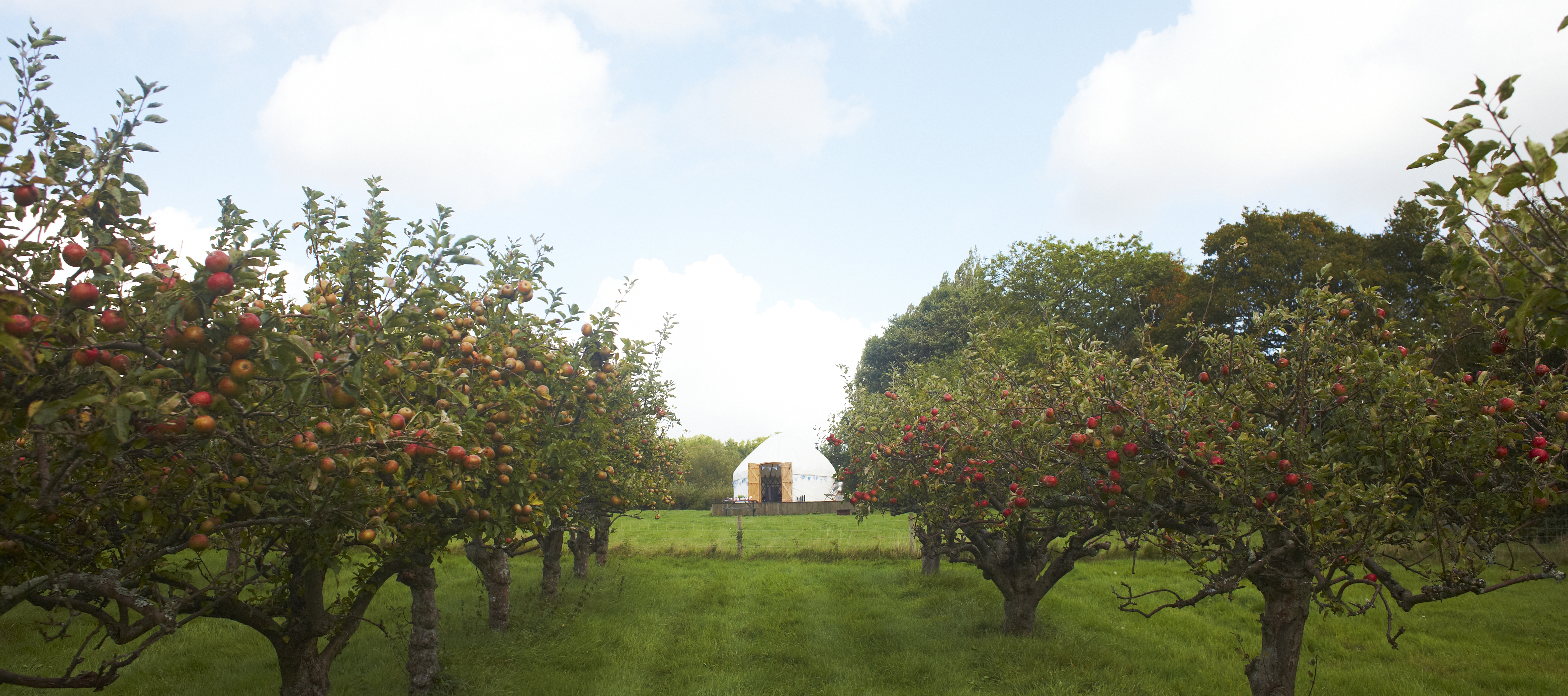 Een yurt op een camping in een boomgaard