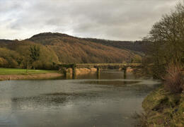 Tintern