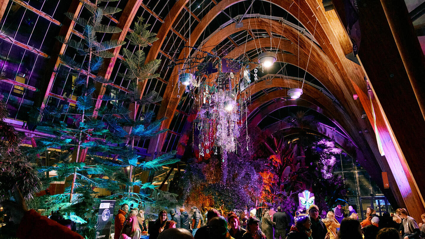 An art display at night inside Sheffield Winter Garden