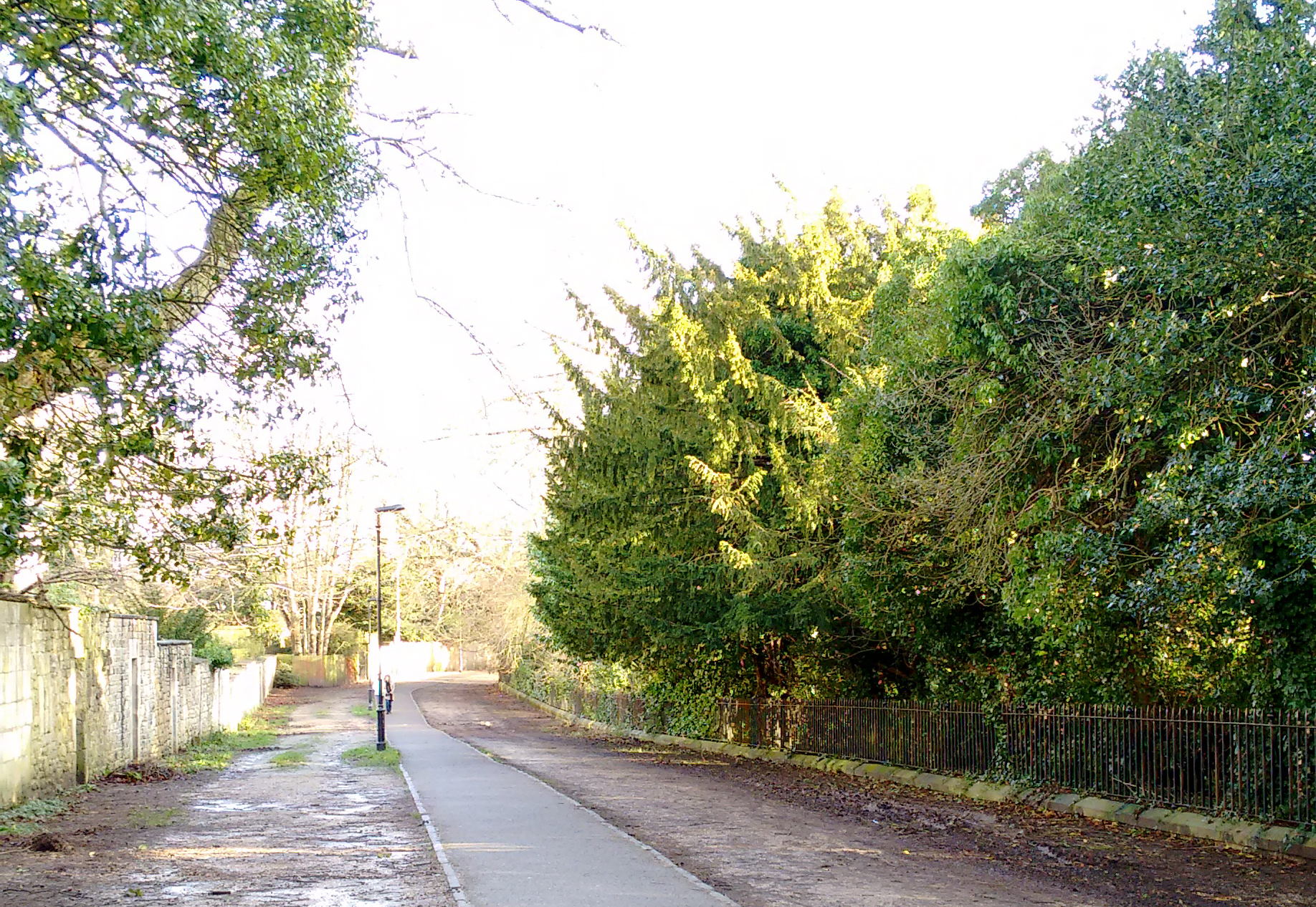 A daytime view of Gravel Walk in Bath