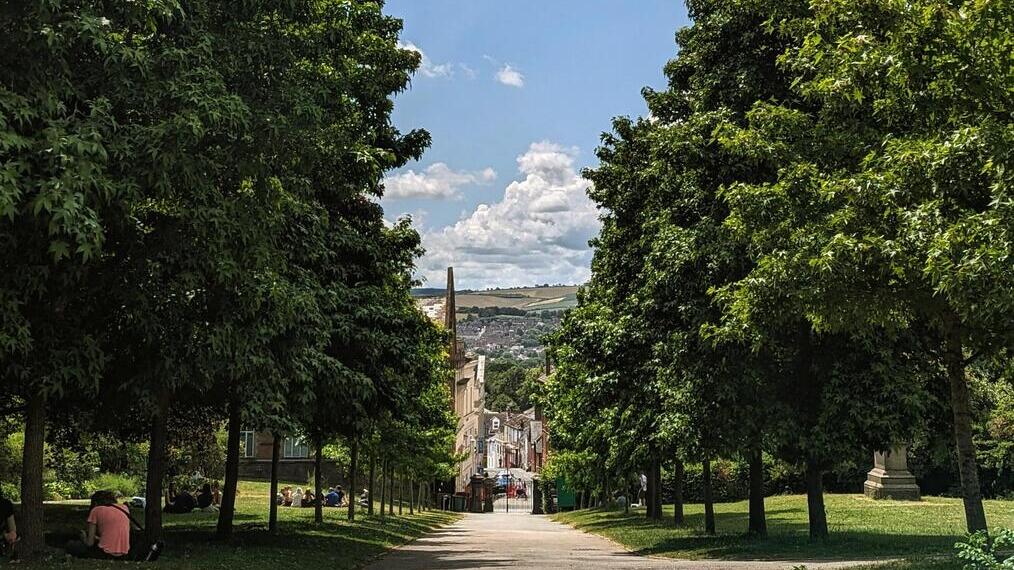 Trees and grass line a hilly path