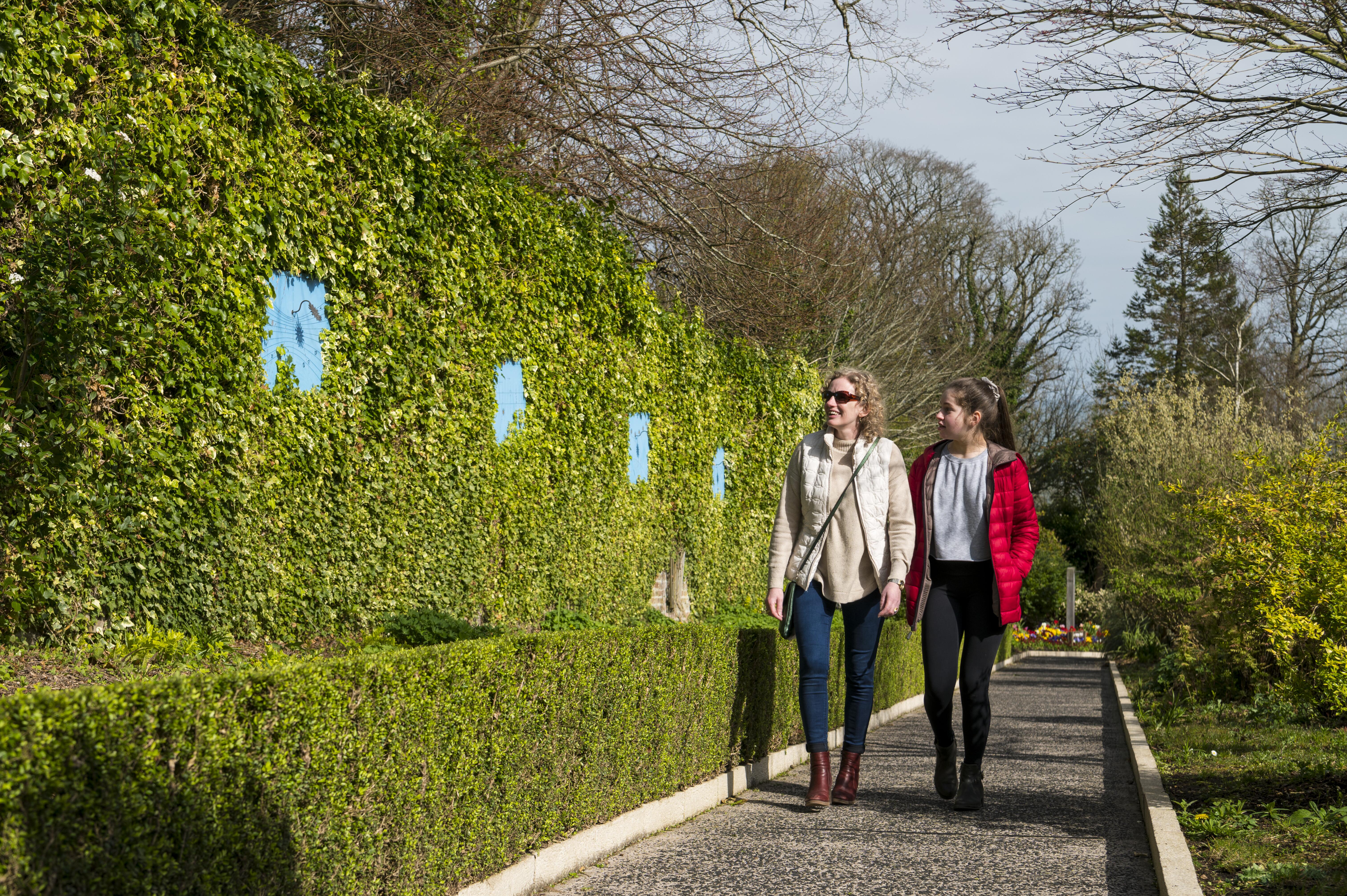 Two women walking along an hedge in a park