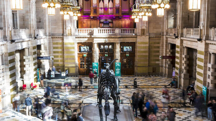 People in a museum atrium looking at a dinosaur skeleton