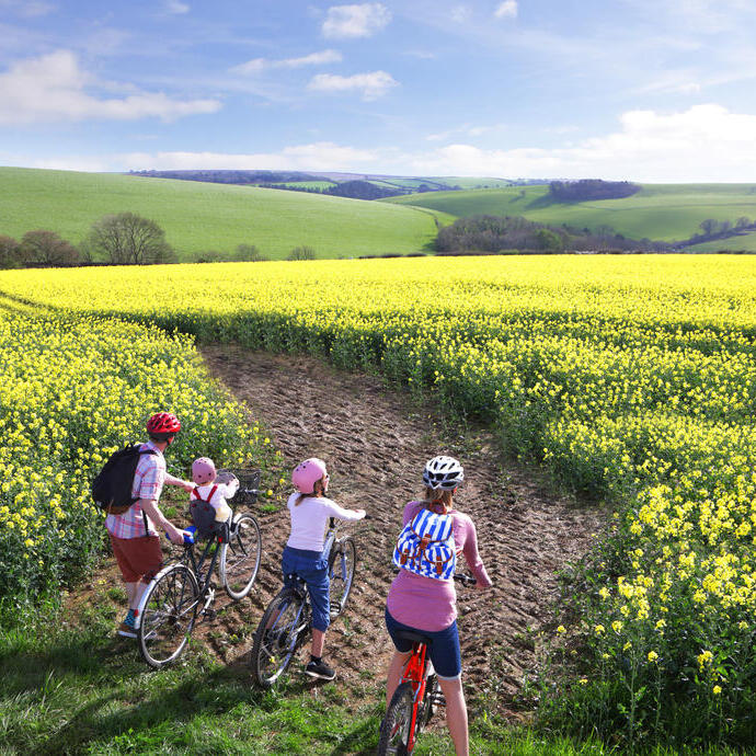 Family on bicycles looking across a field towards the horizon in the summer