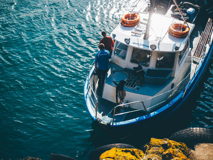 Isla de Skomer, Pembrokeshire, Gales, Reino Unido