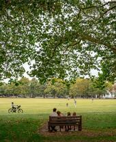 Family sitting on a bench overlooking a park in the summer