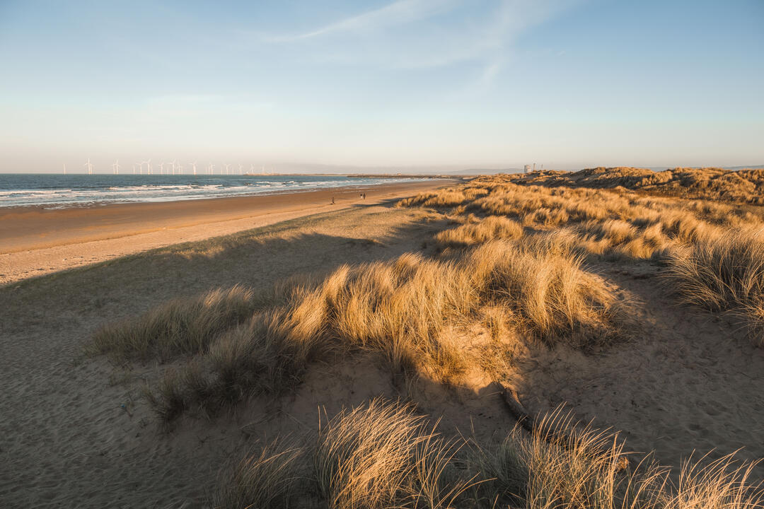 Landscape of a sandy beach and dunes