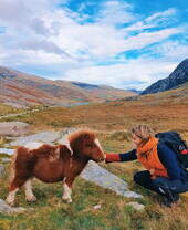 Frau, die ein kleines wildes Pony in einem grasbewachsenen Tal streichelt