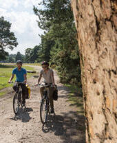 Two people cycling past a tree on a trail in the New Forest.