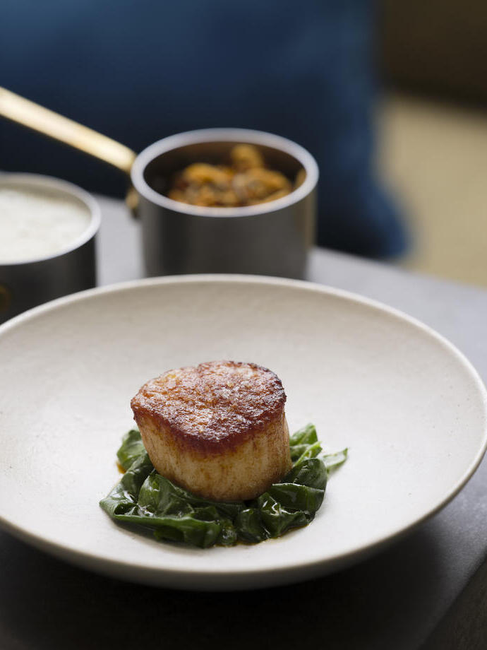 Seared scallop on a bed of wilted spinach.