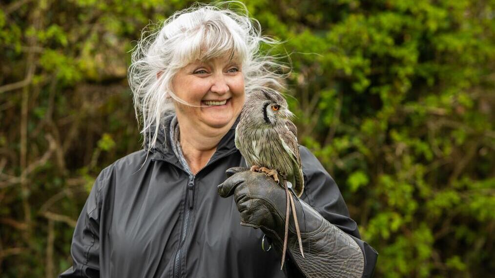 Promenades avec des faucons