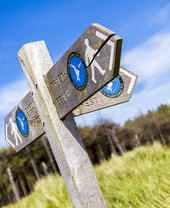 Wooden signpost on grass near a line of trees against blue sky