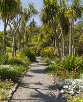 A pathway through a tropical garden.