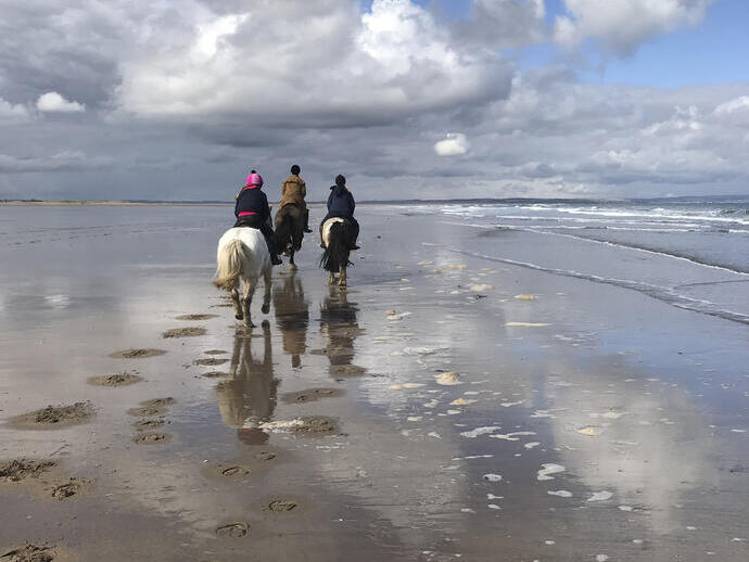 Three people riding ponies along a beach