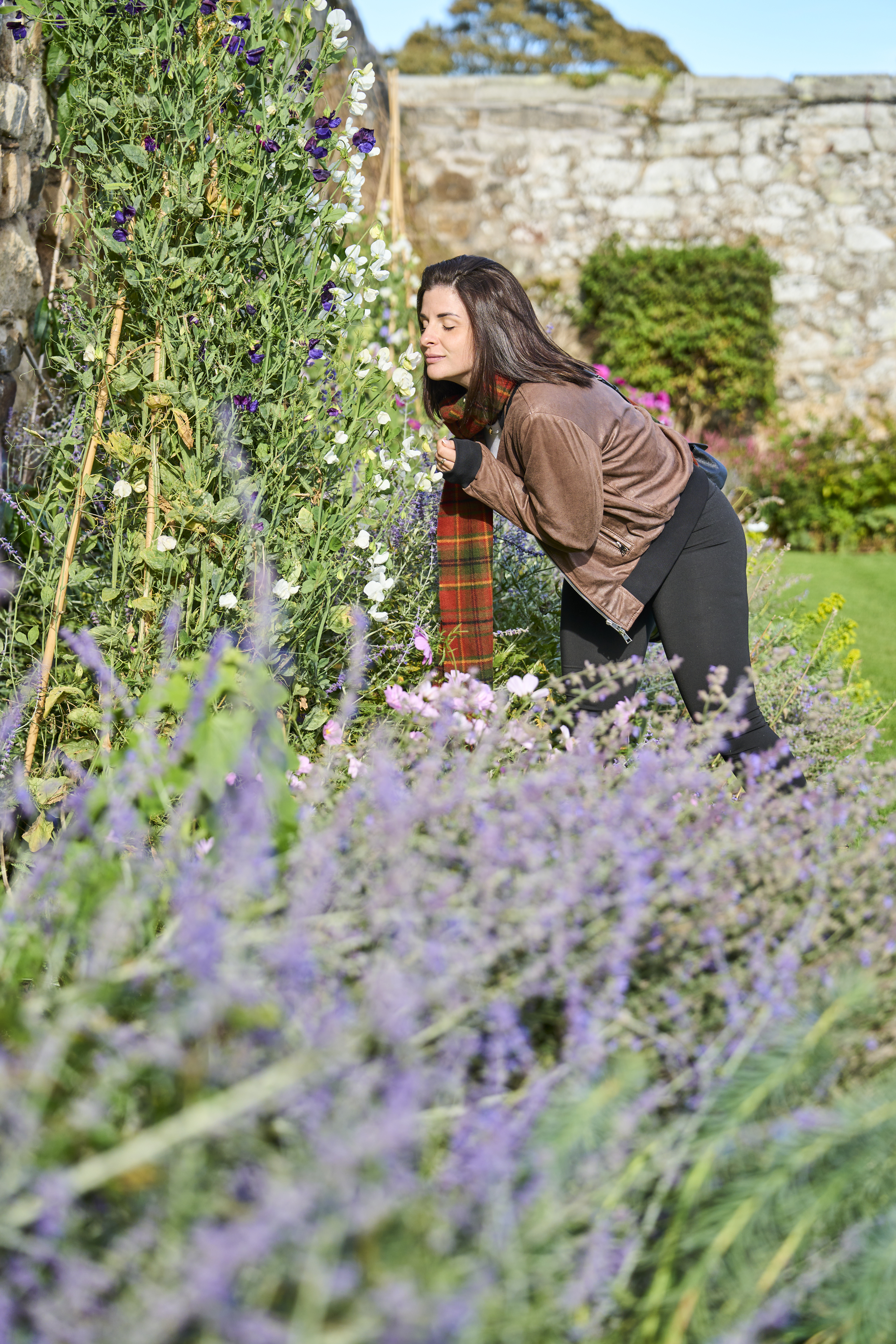 A person enjoys the scent of tall flowering plants in a vibrant garden, with a stone wall and greenery in the background on a sunny day.