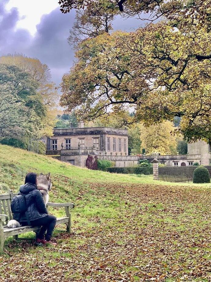 Una signora e un cane seduti su una panchina all'aperto a Lyme Park, Cheshire