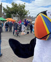 Festival Puffin di Amble