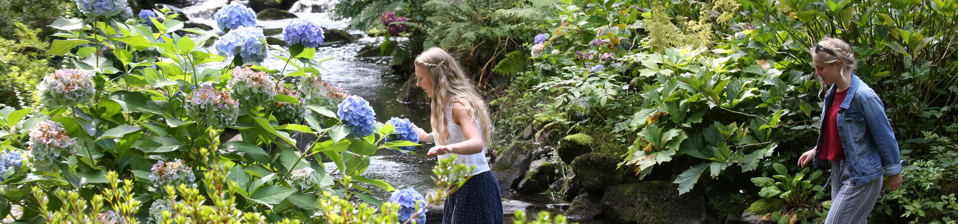 Friends crossing a stream in a floral garden.