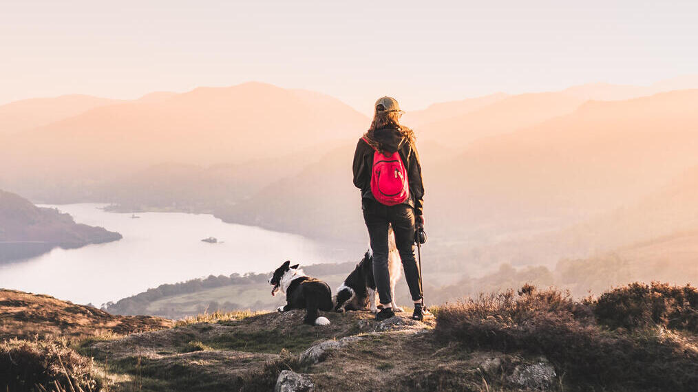 Woman with two dogs at the top of a fell looking down towards a lake below
