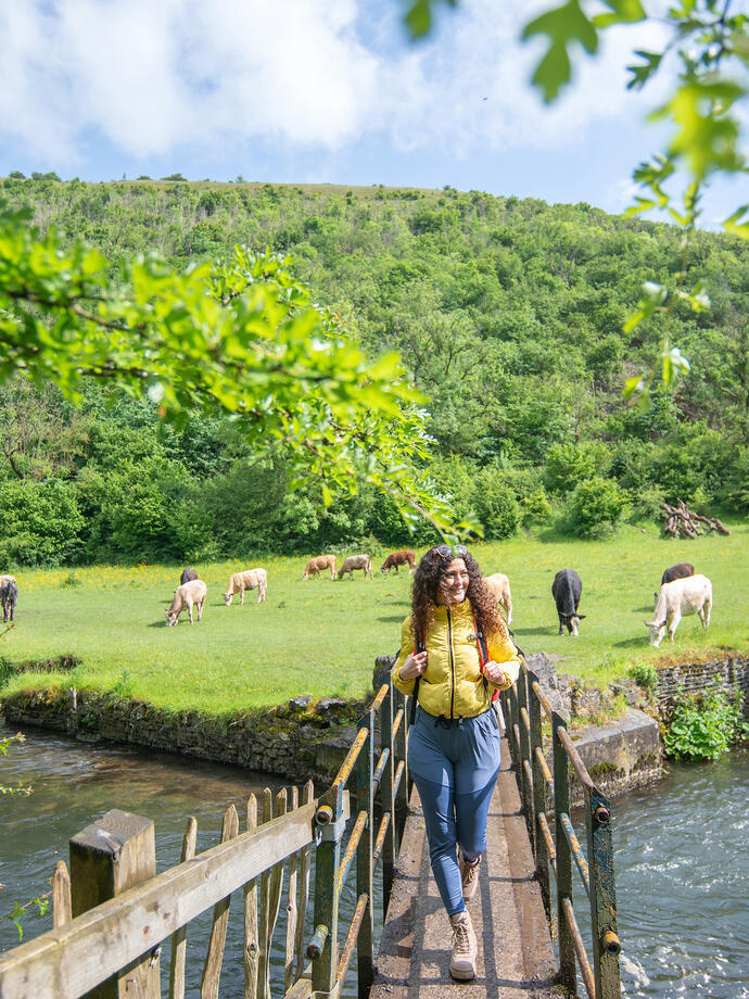 A woman walks across a wooden bridge with a field with cows beyond