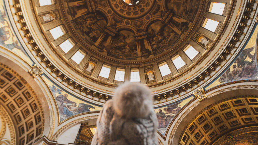 Une femme levant les yeux vers un plafond voûté décoré