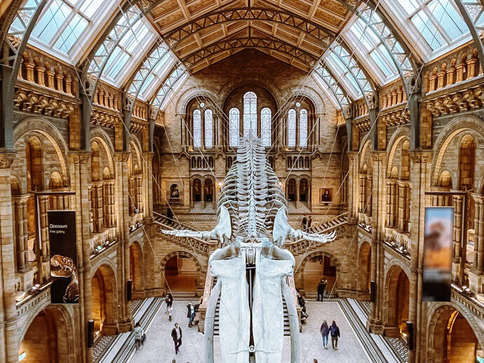 Vue depuis le balcon d'un musée sur un squelette de dinosaure flottant suspendu au plafond.