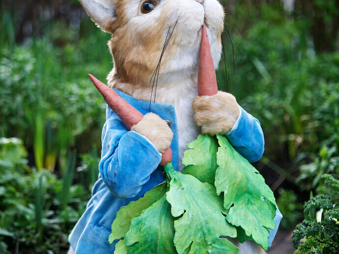 نموذج لبيتر الأرنب وهو يأكل جزرة